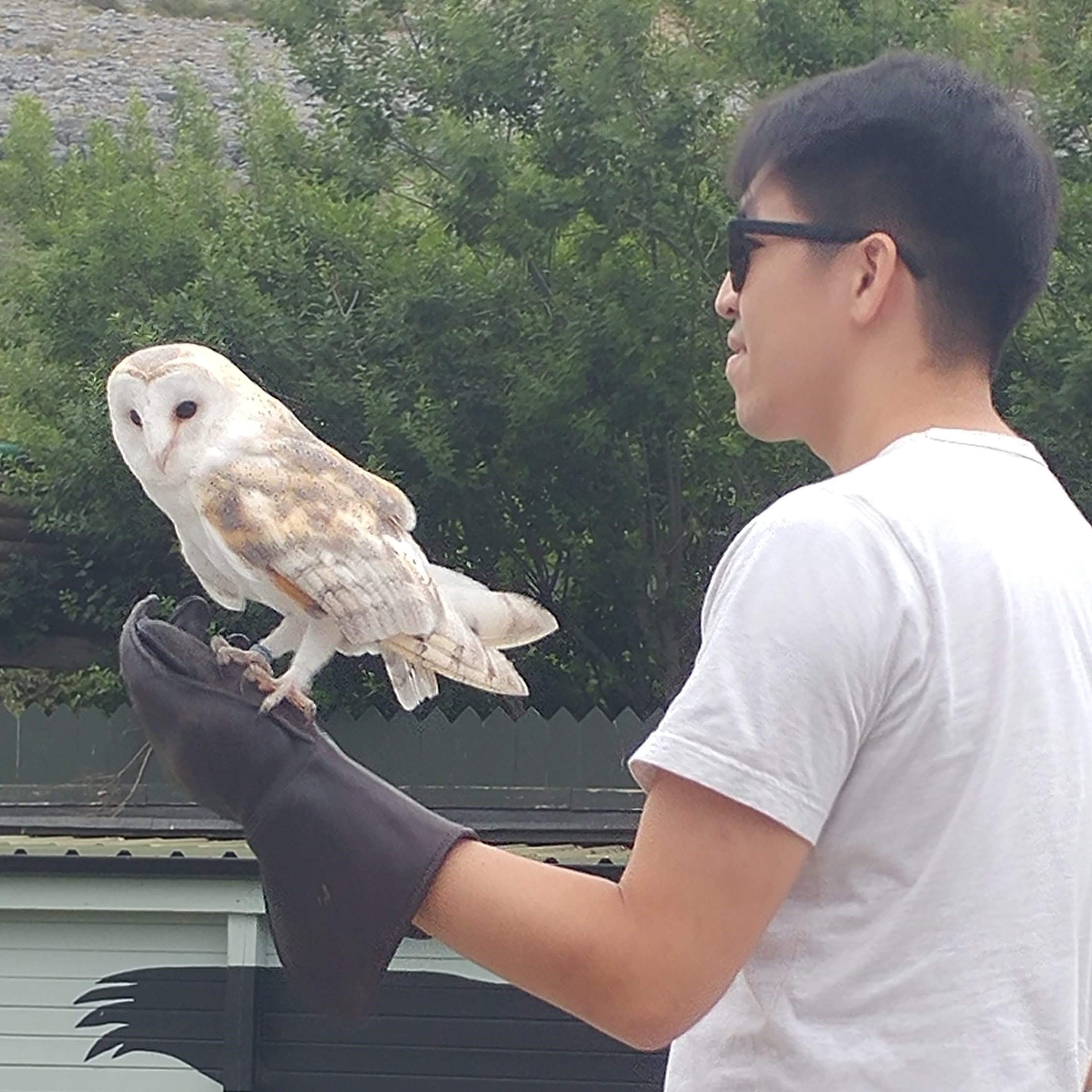 Me holding a barn owl